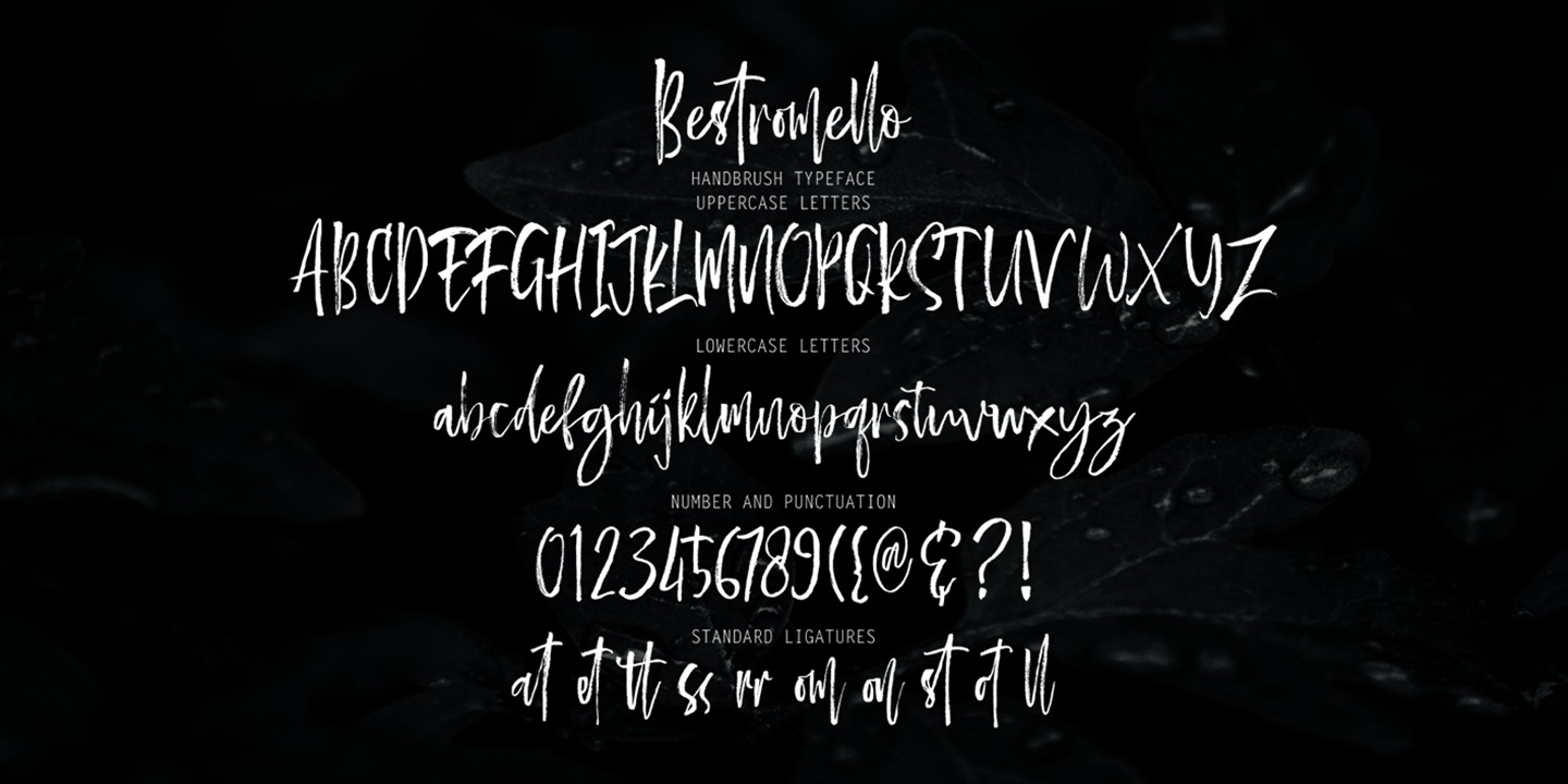 Example font Bestromello Script #2